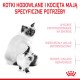 Корм для кошек Royal Canin Mother & Babycat, сухой, 4 кг, для взрослых, с мясом птицы