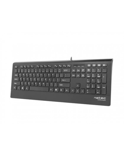 Natec Multimedia Keyboard BARRACUDA slim USB, US layout, black