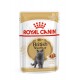 ROYAL CANIN British Shorthair packet 12x85g