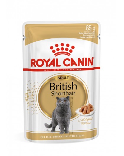ROYAL CANIN British Shorthair packet 12x85g