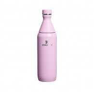 Stanley Bottle All Day Slim 0.6L Cherry