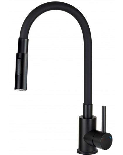 Kitchen faucet with bent spout - 2 types of spray