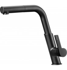 Kitchen faucet with pull-out spout
