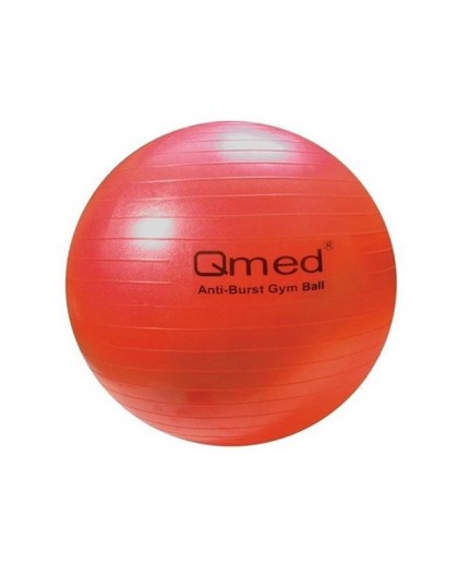 ABS rehabilitation ball with pump 55cm