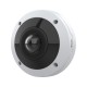 Axis M4317-PLVE Dome IP security camera Indoor 2160 x 2160 pixels Ceiling/wall