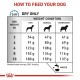 ROYAL CANIN Anallergenic Small VHN - dry dog food - 1,5kg