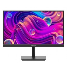 Hikvision DS-D5022F2-1V2S Monitor