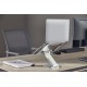 Gembird NBS-D1-03 laptop stand Silver 39.6 cm (15.6")