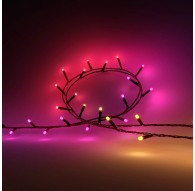 Philips Hue White and colour ambience 8720169246621 smart lighting Smart string light Bluetooth/Zigbee 14 W