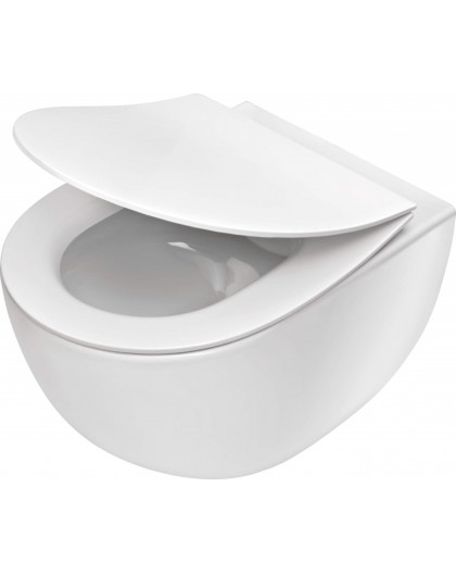 Rimless toilet