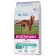 Eukanuba Daily Care Adult Sensitive Digestion - dry dog food - 12 kg