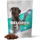 GELOREN Large dog Joints - dog vitamins - 420g