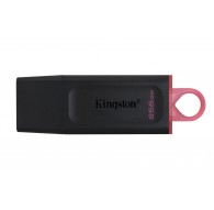 Kingston Technology DataTraveler Exodia - USB 3.2 Flash Drive