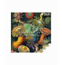 Imagination Puzzle: Ernst Haeckel Sea Creatures 1000 elements