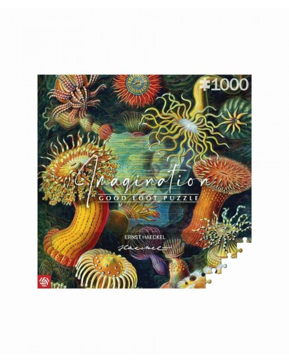 Imagination Puzzle: Ernst Haeckel Sea Creatures 1000 elements