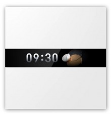 Aqara Display Switch V1