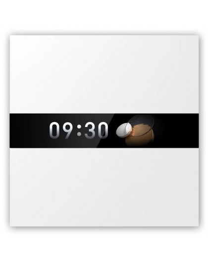 Aqara Display Switch V1