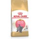 Royal Canin British Shorthair Kitten cats dry food 2 kg Poultry, Rice, Vegetable
