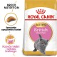 Royal Canin British Shorthair Kitten cats dry food 2 kg Poultry, Rice, Vegetable