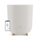 Duux | Neo | Smart Humidifier | Water tank capacity 5 L | Suitable for rooms up to 50 m2 | Ultrasonic | Humidification capacity 