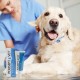 JM SANTE Polisept Vet Wound gel - gel dressing for dogs and cats – 30 ml