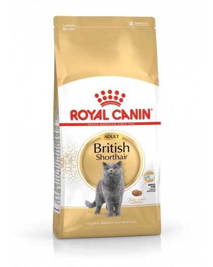 ROYAL CANIN FBN British Shorthair Adult dry cat food - 10 kg