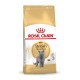 ROYAL CANIN FBN British Shorthair Adult dry cat food - 10 kg