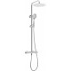 Showerhead with thermostatic mixing valve