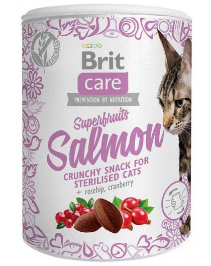 BRIT Care Superfruits Salmon - cat treats - 100 g