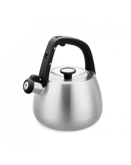 Kettle Maestro MR-1318 2,5 l Silver, Black