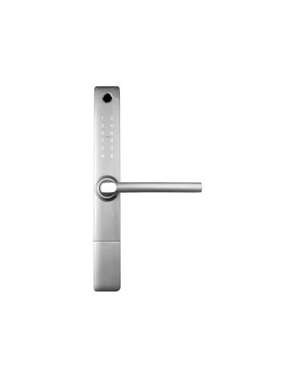 Handle with access controller EURA ELH-20H4 silver