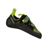 Tarantula olive neon