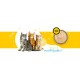 3COTY 33. Chicken Kitten - wet cat food - 180g
