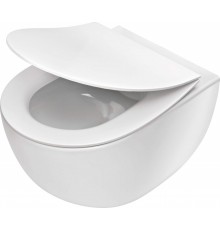 Rimless wall-hung toilet