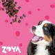 ZOYA ColdPRO Beef - dry dog food - 1kg
