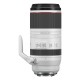 Canon RF 100-500mm F4.5-7.1L IS USM Lens