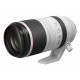 Canon RF 100-500mm F4.5-7.1L IS USM Lens
