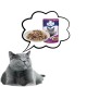 PREVITAL Veal in gravy - wet cat food - 100g