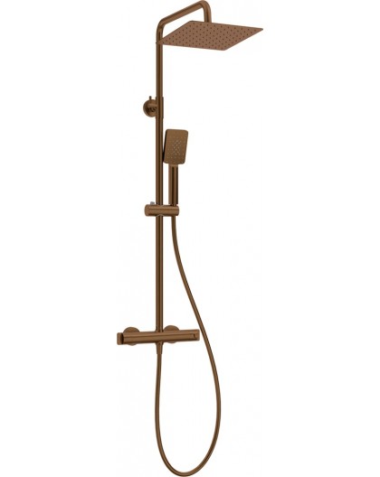 Showerhead with thermostatic mixer