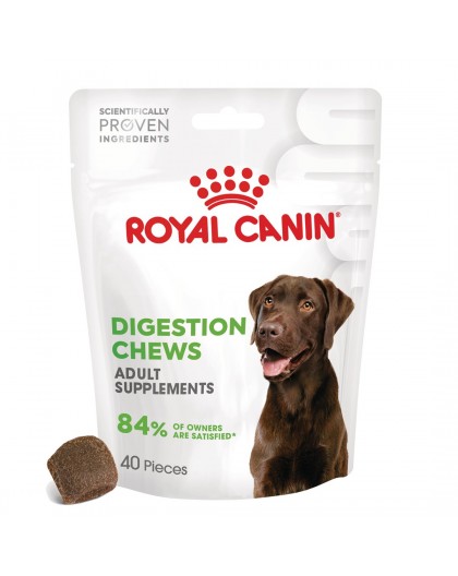 ROYAL CANIN Supplements Dog Digestion Adult - dog vitamins - 160g