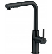 Kitchen faucet with pull-out spout