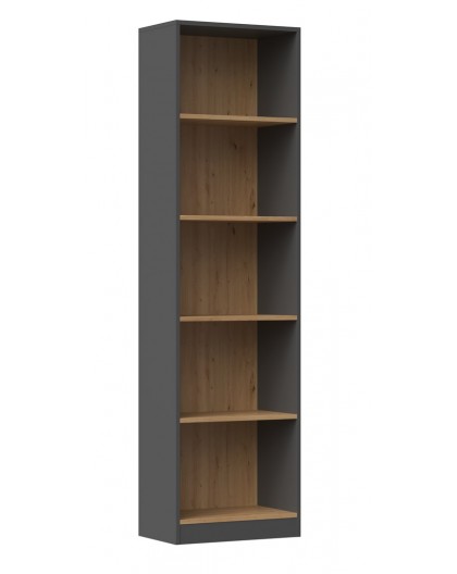 Topeshop R50 ANT/ART office bookcase