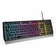 GENESIS Rhod 300 RGB klaviatuur Gaming USB QWERTY Inglise Must