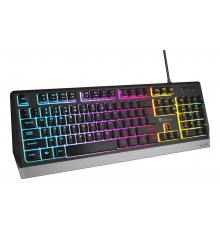 GENESIS Rhod 300 RGB keyboard Gaming USB QWERTY English Black