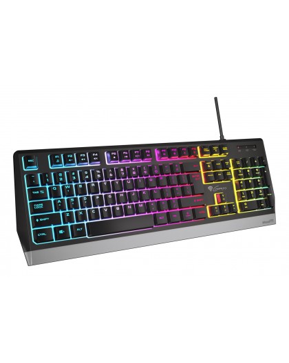 Клавиатура GENESIS Rhod 300 RGB игровая USB QWERTY английская черная