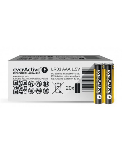 Alkaline batteries everActive Industrial Alkaline LR03 AAA - carton box - 40 pieces