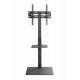 Gembird TVS-55T-02 TV floor stand, 32" - 55", black