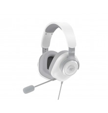 Havit H2230D Gaming Kulaklık Siyah Headset Wired & Wireless In-ear