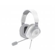 Havit H2230D Gaming Kulaklık Siyah Headset Wired & Wireless In-ear