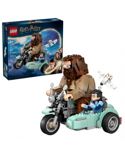 LEGO HARRY POTTER 76443 Hagrid & Harry's Motorcycle Ride